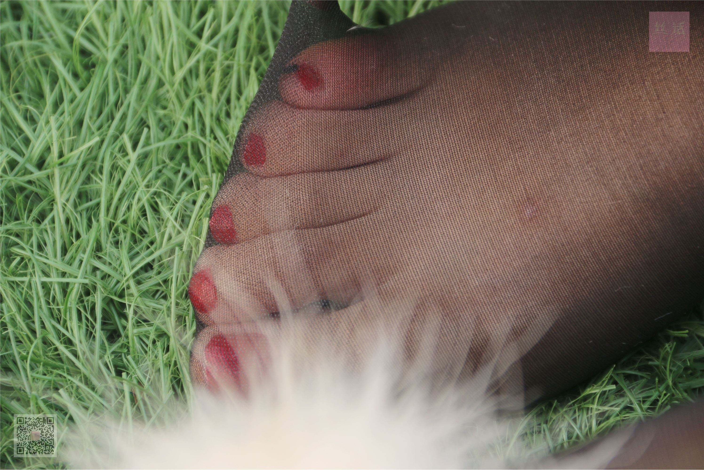 SiHua思话  SH008 子琦 学而丝